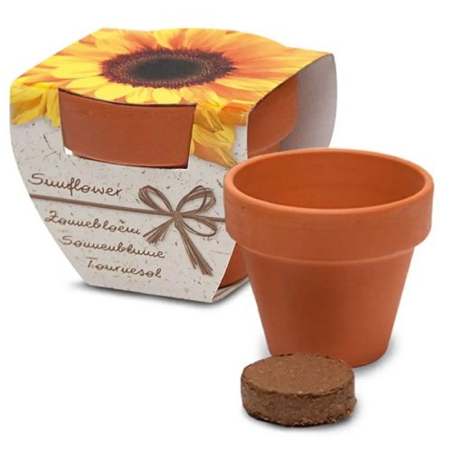 Blomster i lille terrakottakrukke - Bild 6